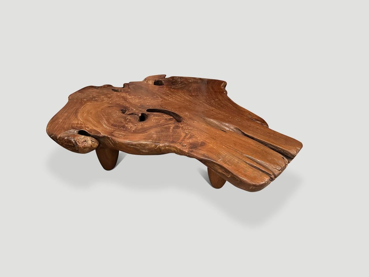 Impressive single five inch thick slab, one of a kind coffee table. We added a natural oil to this 100 year old organic shaped slab, revealing the beautiful wood grain. We then added mid century style cone legs as seen in the final image. The width