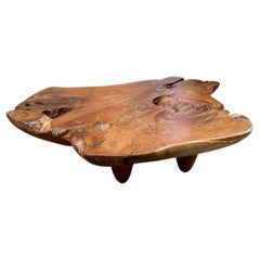 Table basse organique Andrianna Shamaris du siècle en bois de teck ancien 