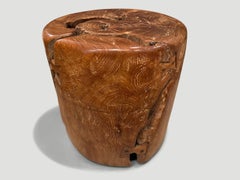 Andrianna Shamaris Century Old Teak Wood Side Table