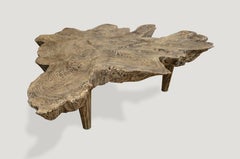 Andrianna Shamaris Cerused Teak Wood Coffee Table