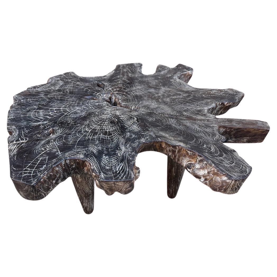 Andrianna Shamaris Table basse en bois de teck cérusé Single Charred Organic en vente