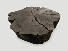 Andrianna Shamaris Charred Amorphous Coffee Table
