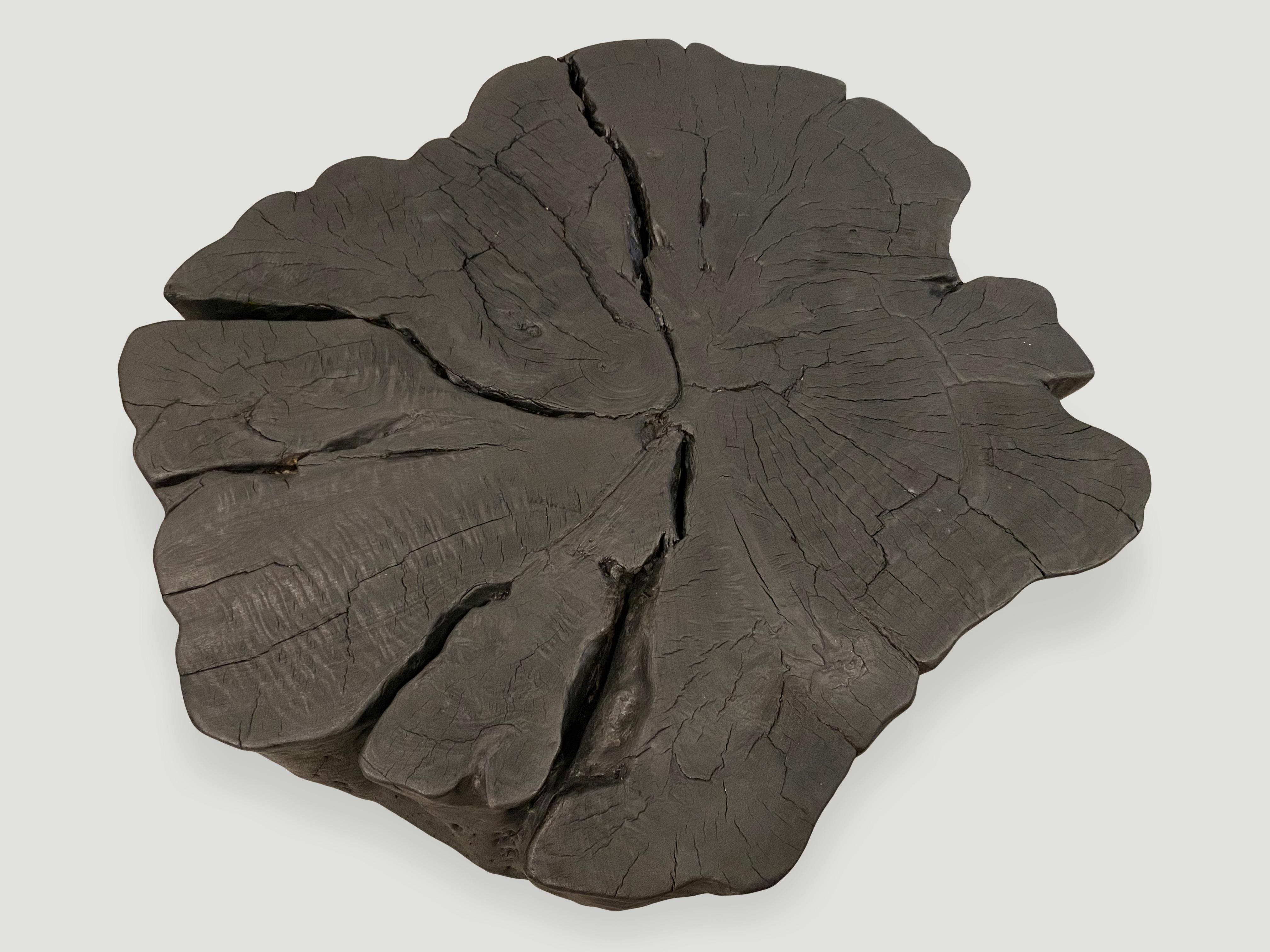 Contemporary Andrianna Shamaris Charred Amorphous Coffee Table For Sale