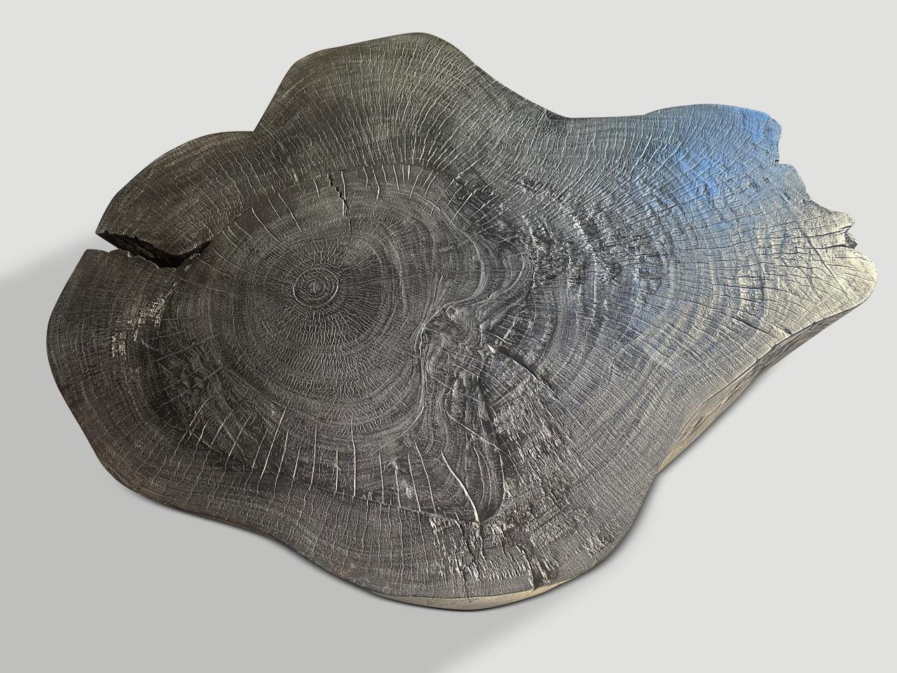Bois Table basse Andrianna Shamaris Charred Amorphous en vente