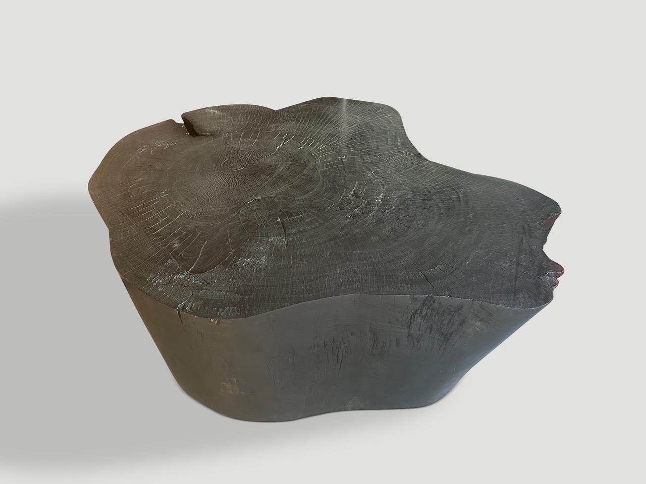 Table basse Andrianna Shamaris Charred Amorphous en vente 1