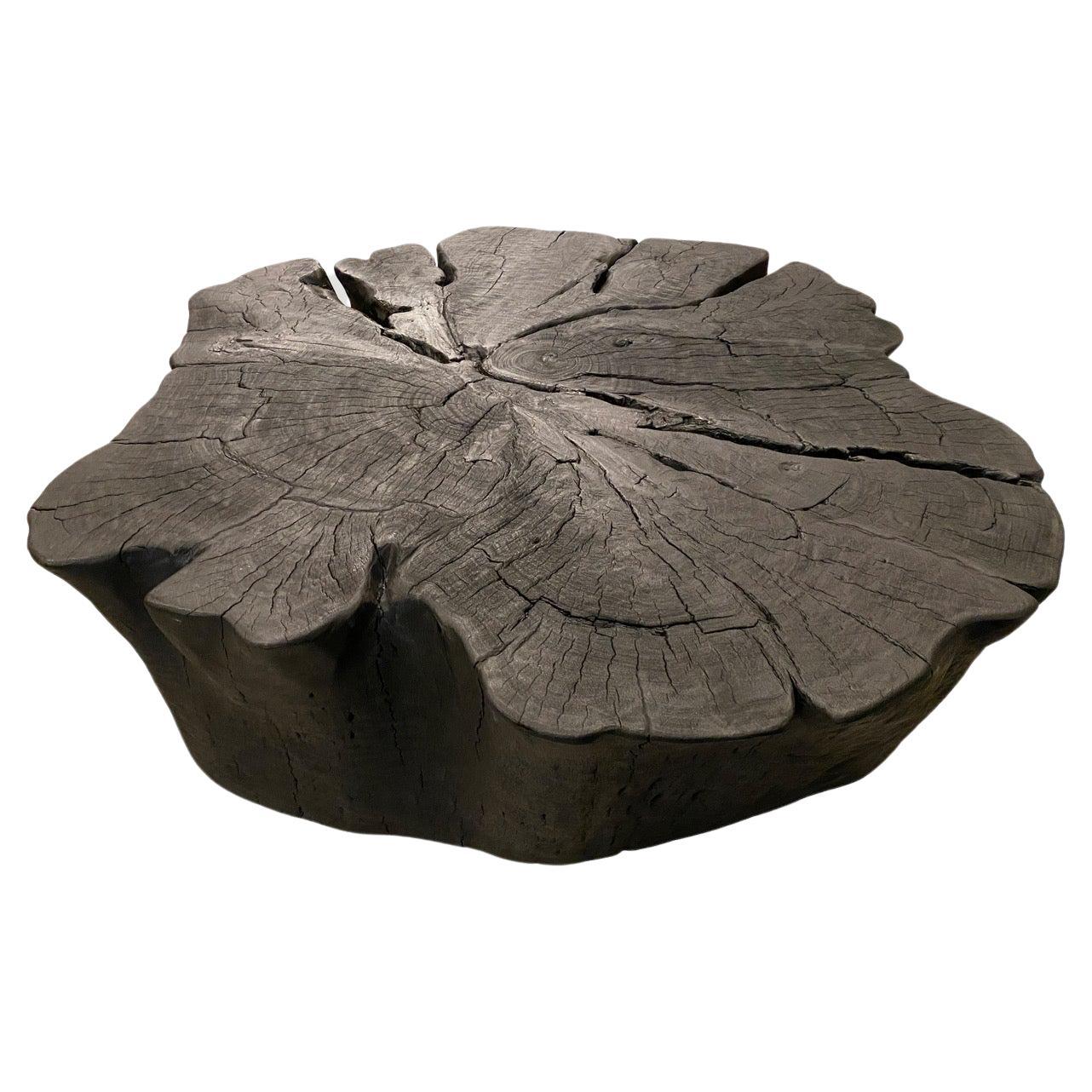 Andrianna Shamaris Charred Amorphous Coffee Table For Sale