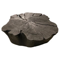 Table basse Andrianna Shamaris Charred Amorphous