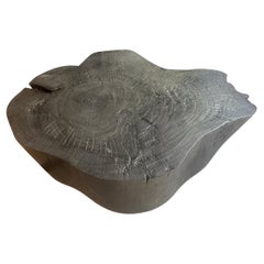 Andrianna Shamaris Charred Amorphous Coffee Table