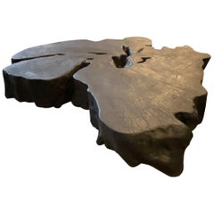 Andrianna Shamaris Charred Amorphous Mango Wood Coffee Table
