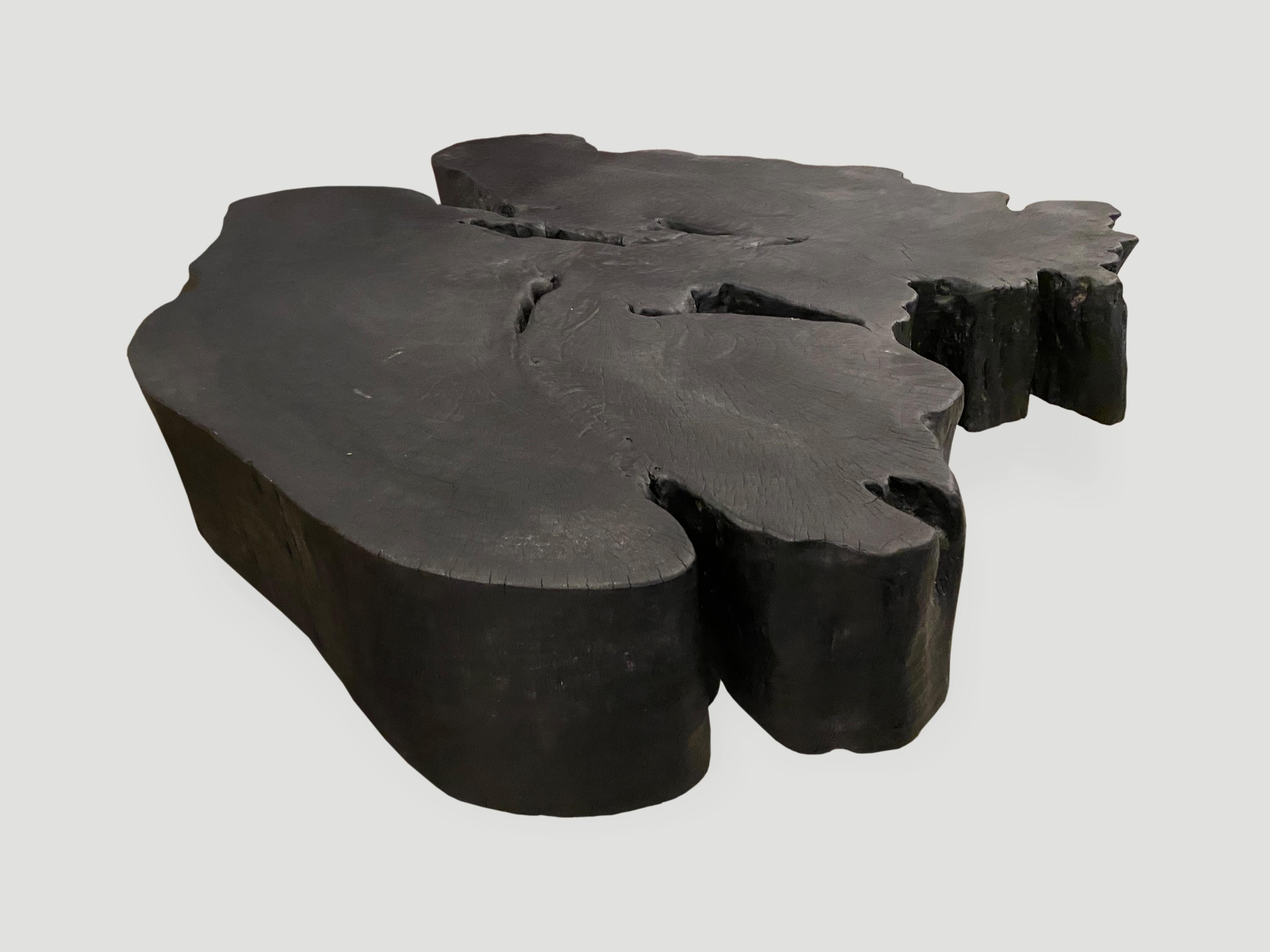 Contemporary Andrianna Shamaris Charred Amorphous Reclaimed Mango Wood Coffee Table For Sale