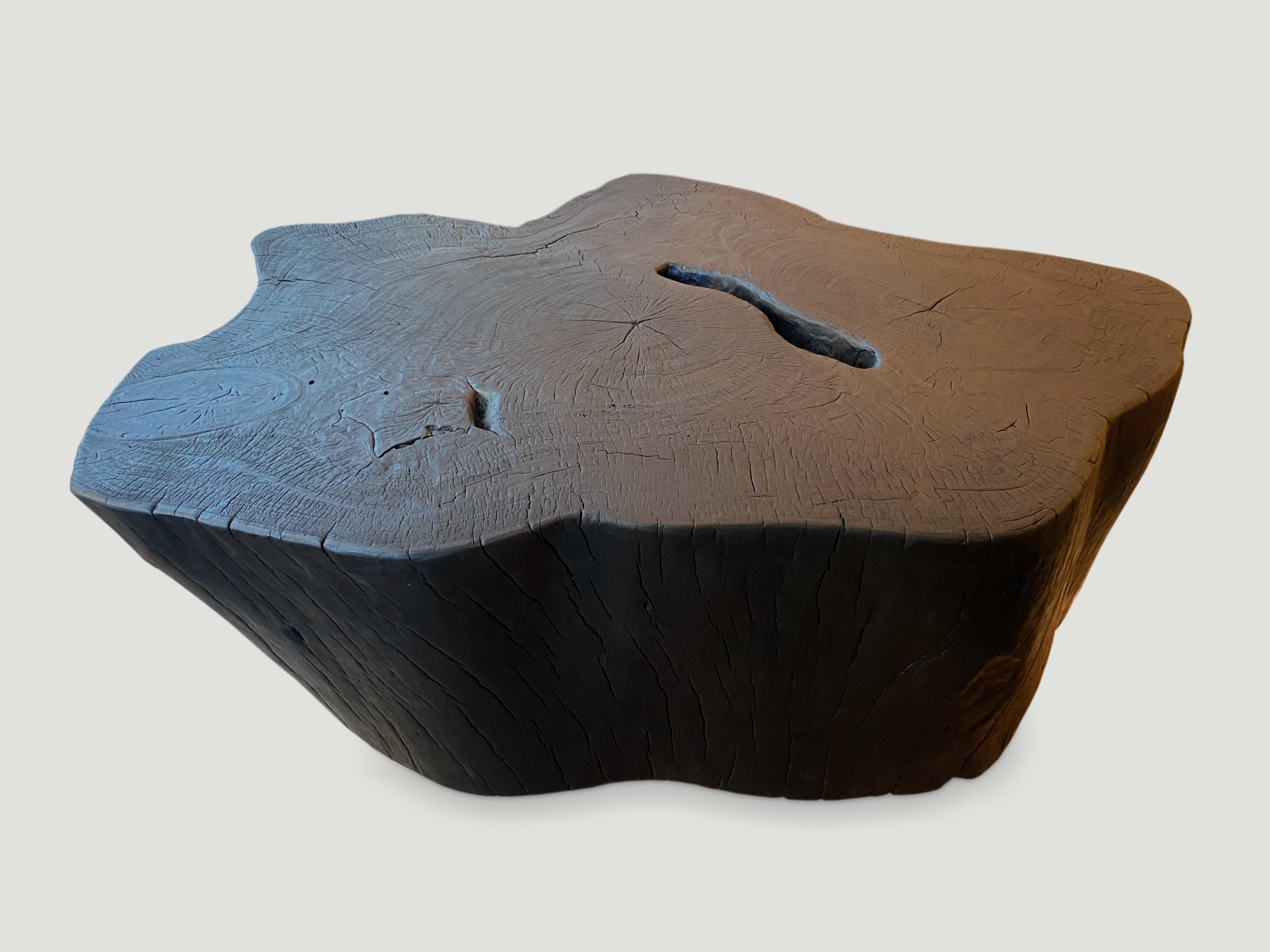 Impressive single mango root coffee table floating on a small platform. A slight graduation from the bottom to the top.

The Triple Burnt collection represents a unique line of modern furniture made from solid organic wood. Burnt three times to