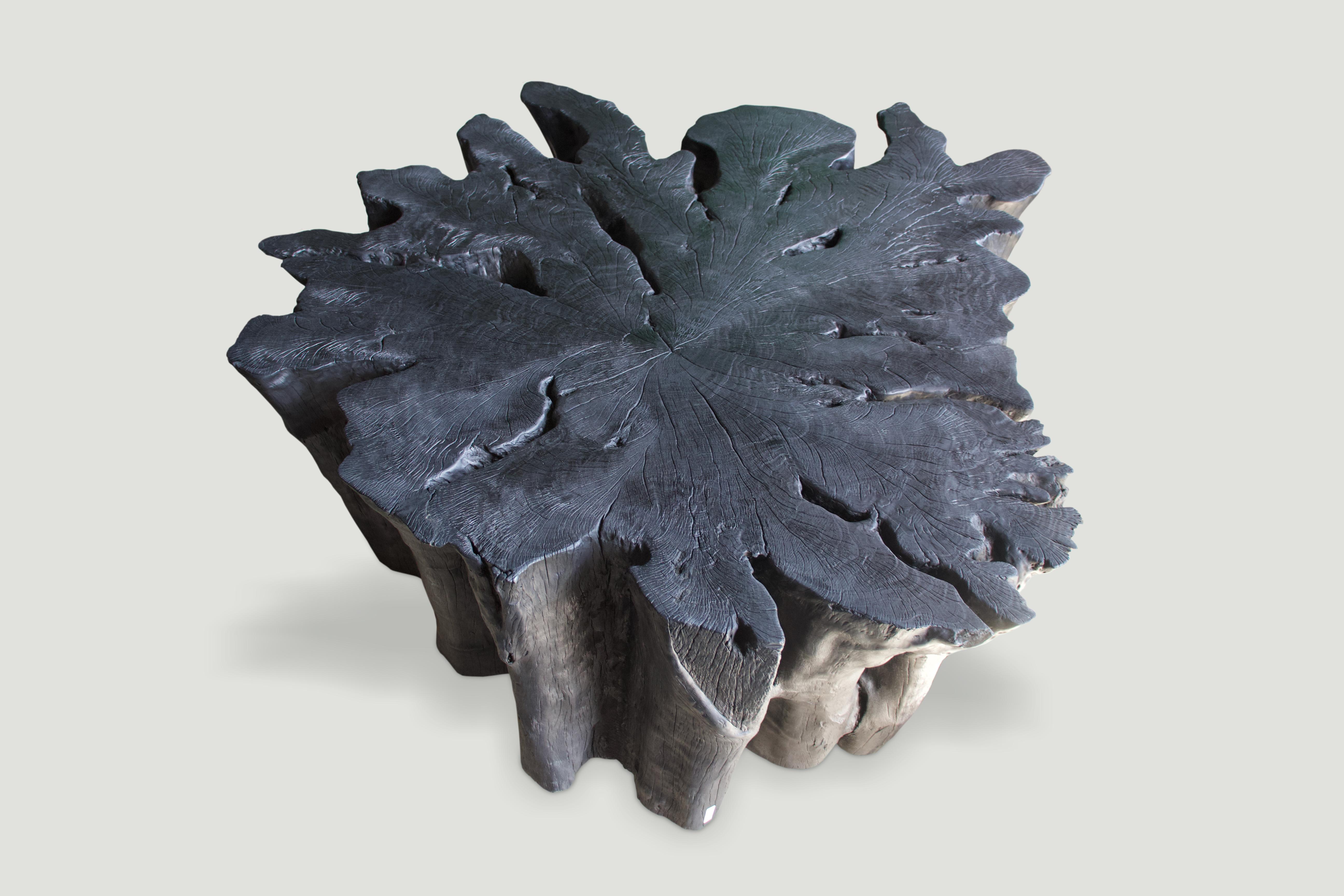 Organic Modern Andrianna Shamaris Charred Lychee Root Organic Coffee Table