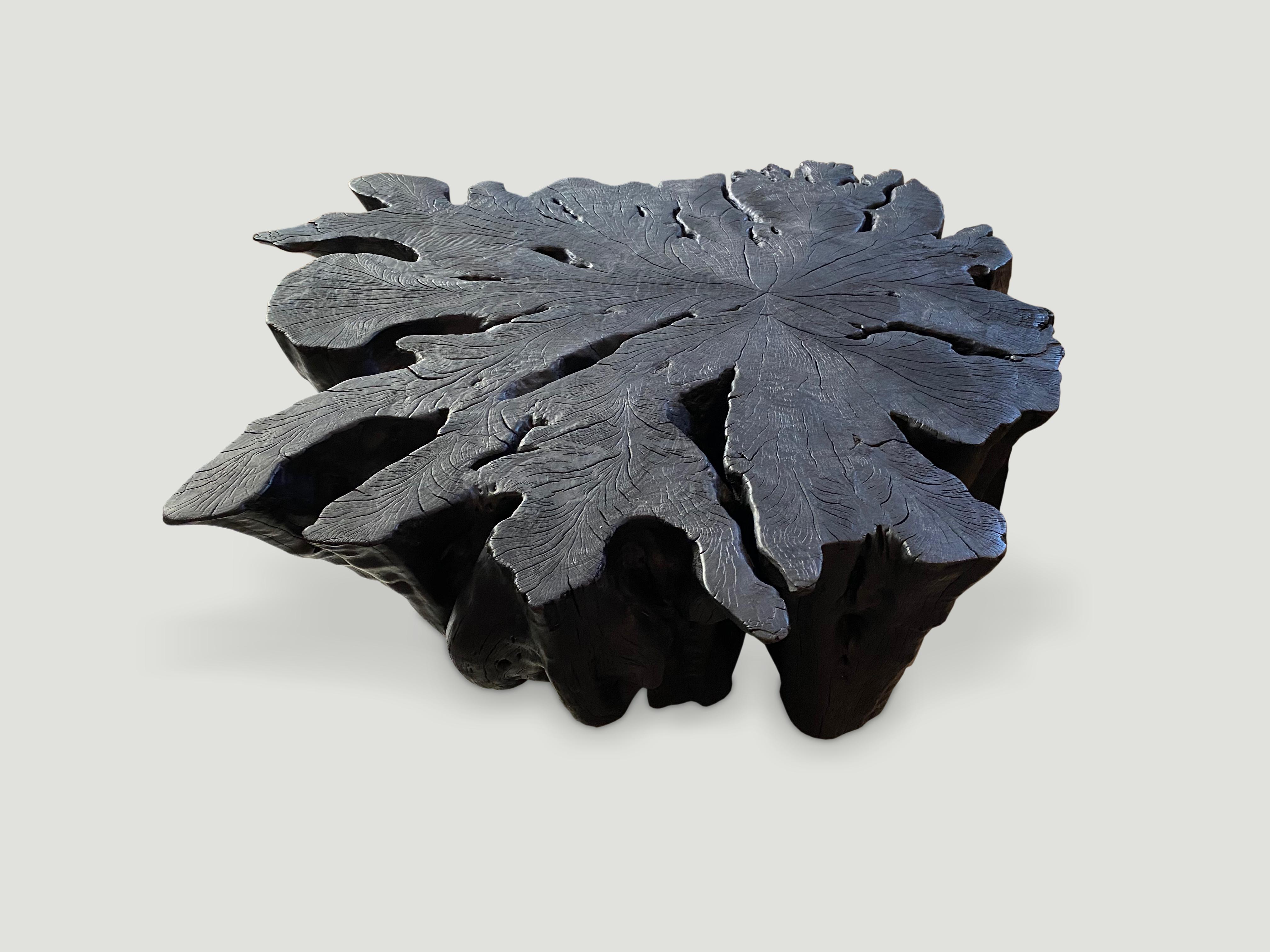Andrianna Shamaris Charred Lychee Root Organic Coffee Table In Excellent Condition In New York, NY