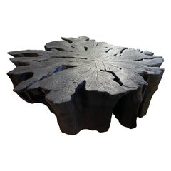 Andrianna Shamaris Charred Lychee Root Organic Coffee Table