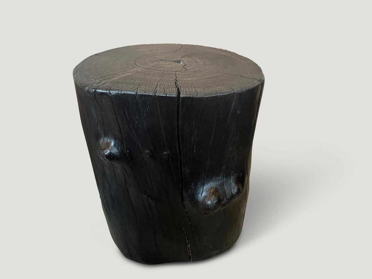 Table d'appoint Andrianna Shamaris en bois de lyche chauffé Excellent état - En vente à New York, NY