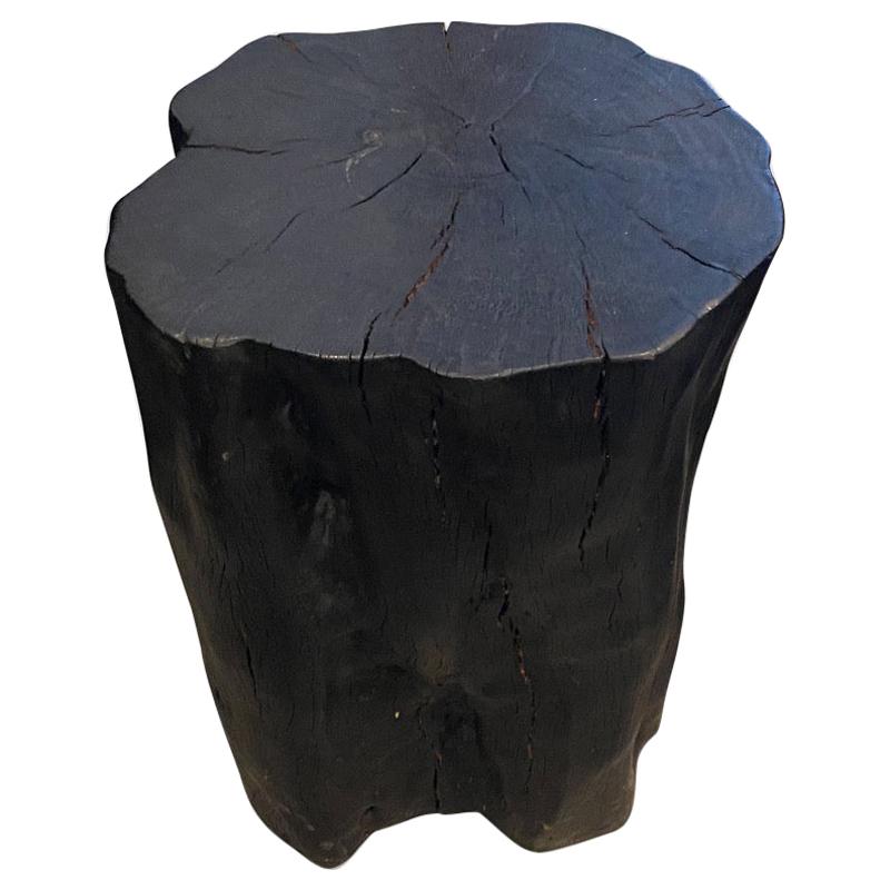 Andrianna Shamaris Charred Lychee Wood Side Table