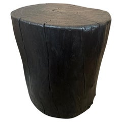 Andrianna Shamaris Charred Lychee Wood Side Table