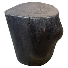 Andrianna Shamaris Charred Lychee Wood Side Table