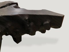 Andrianna Shamaris Charred Mahogany Root Coffee Table