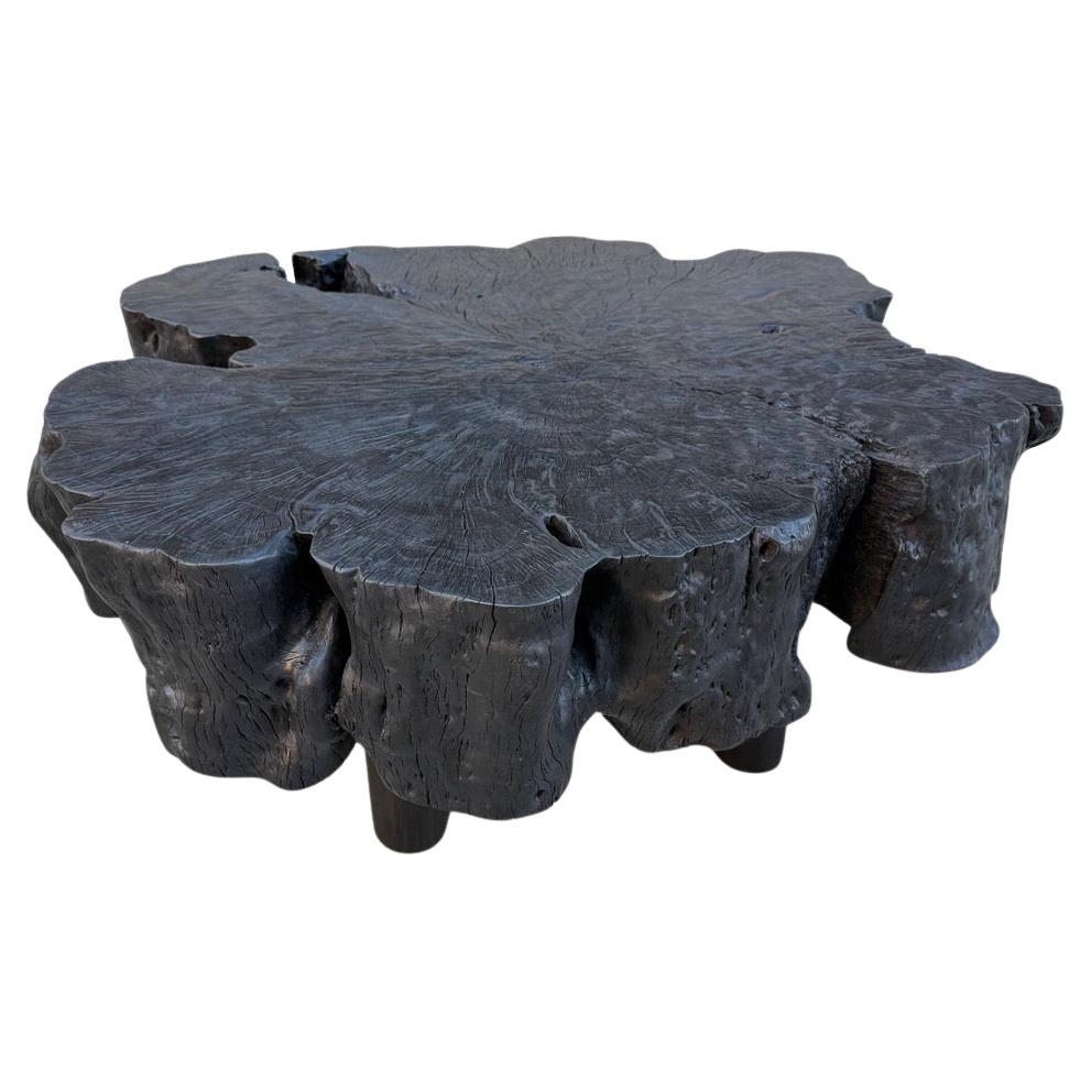 Table basse en bois de manguier brûlé « Andrianna Shamaris », design moderne et naturel en vente