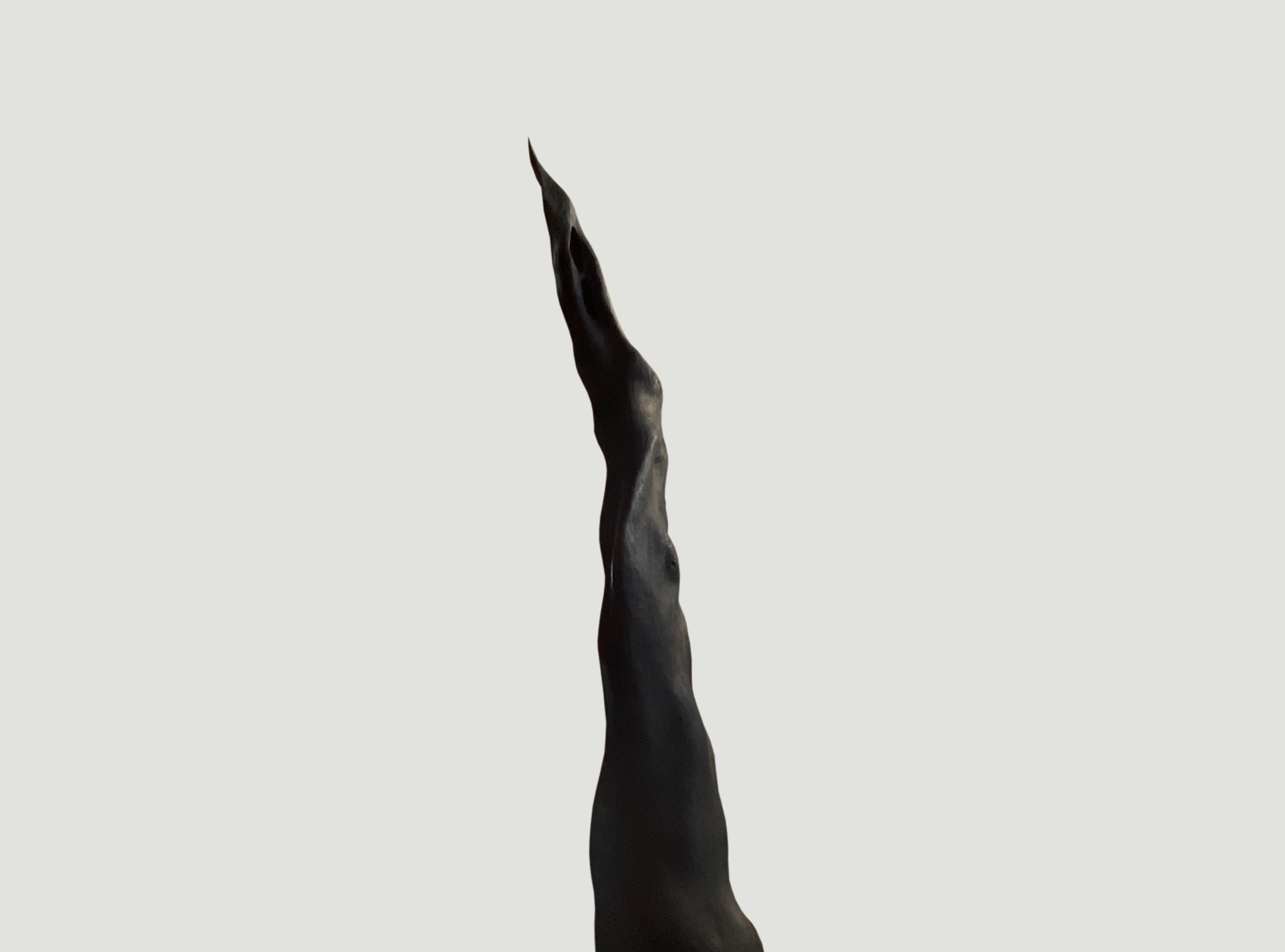 Organic Modern Andrianna Shamaris Charred Mango Wood Sculpture