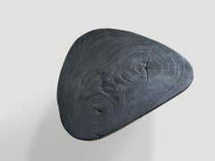 Andrianna Shamaris Charred Minimalist Coffee Table