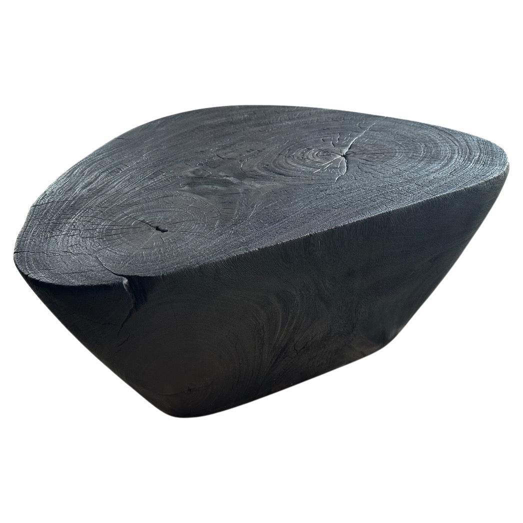 Andrianna Shamaris Charred Minimalist Coffee Table For Sale