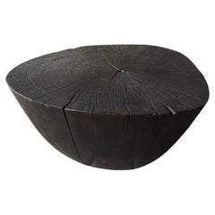 Andrianna Shamaris Charred Minimalist Coffee Table