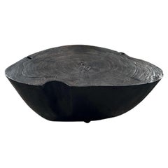 Table basse minimaliste Andrianna Shamaris Charred