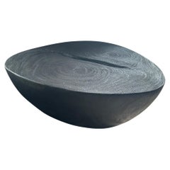Andrianna Shamaris Table basse minimaliste en bois de suar charbonné