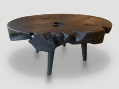 Andrianna Shamaris Charred Organic Teak Coffee Table