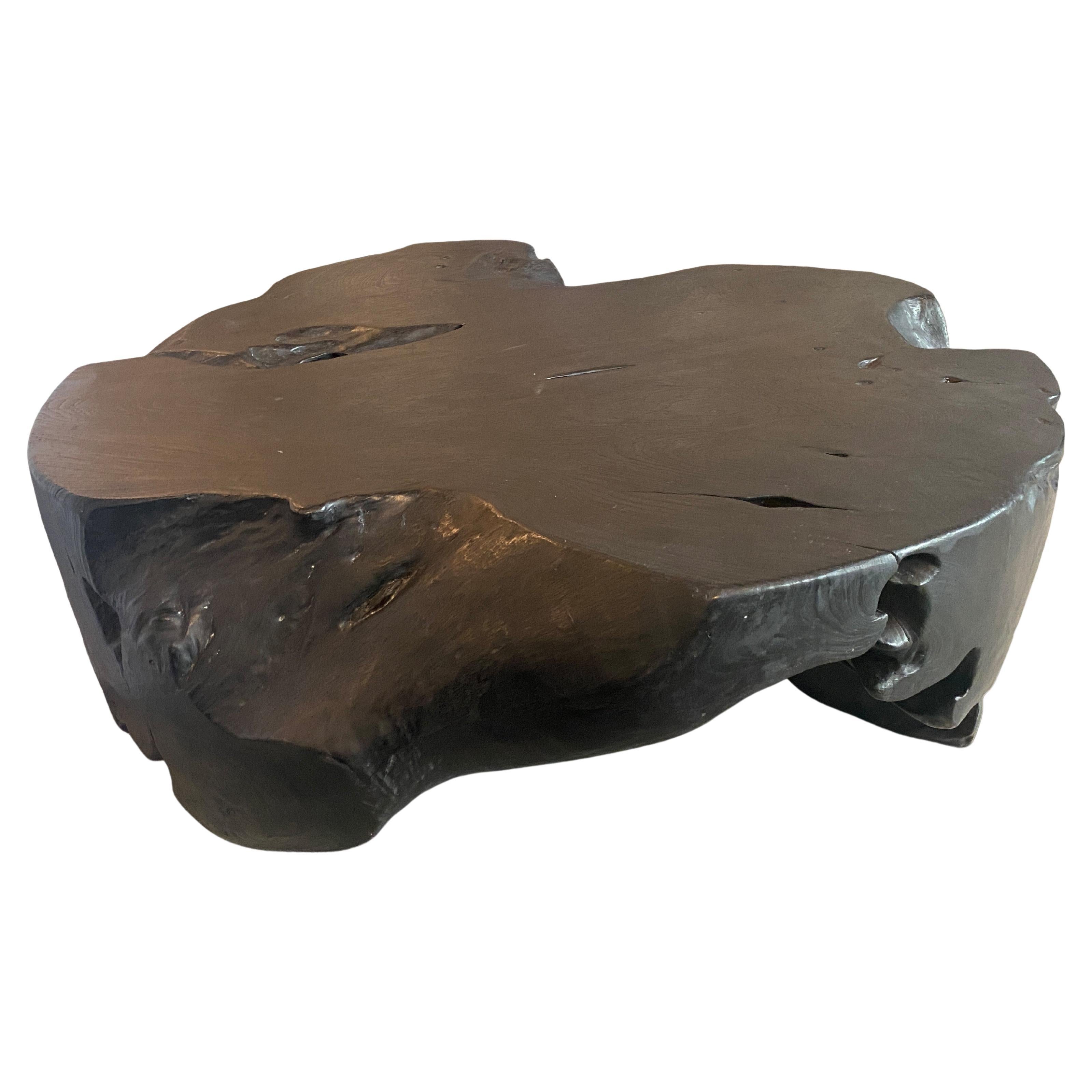 Andrianna Shamaris Charred Organic Teak Wood Coffee Table For Sale