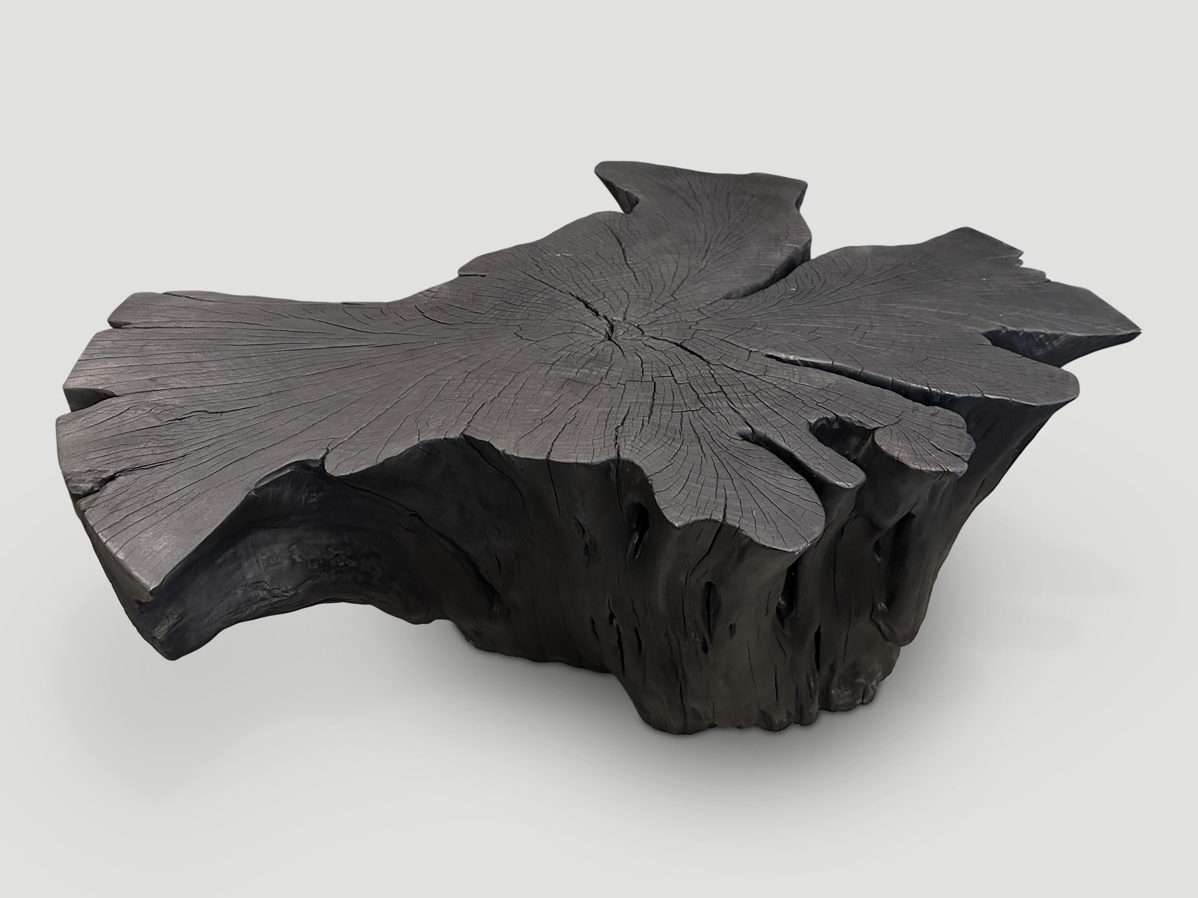 Wunderschöne Schmetterlingsform auf diesem beeindruckenden Couchtisch aus Palisanderwurzelholz. Sowohl nutzbar als auch skulptural. Gebrannt, geschliffen und versiegelt, wobei die schöne Holzmaserung zum Vorschein kommt.

Die Triple Burnt