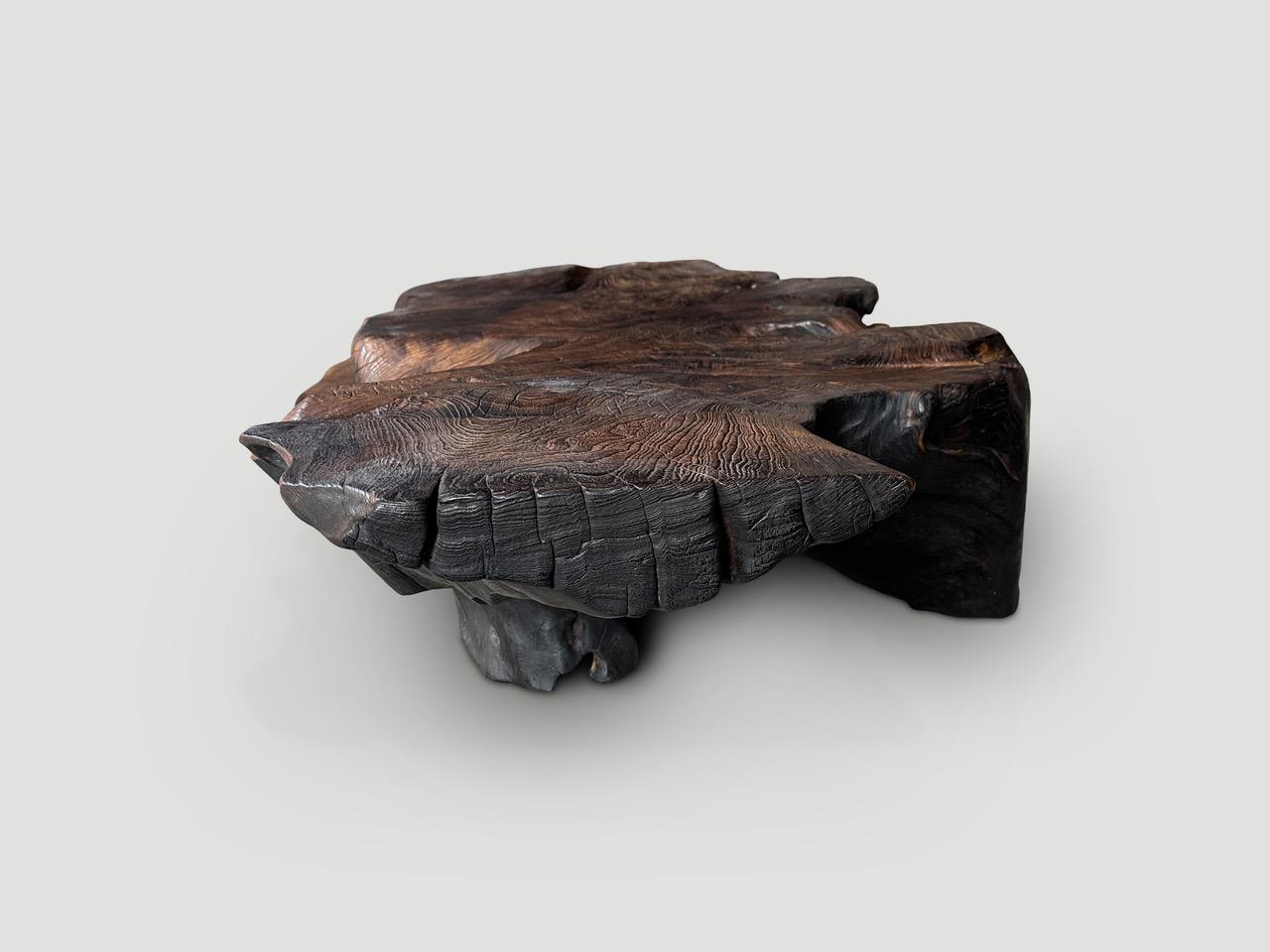 Impressive natural organic formed reclaimed teak coffee table both usable and sculptural. The legs and top are carved out of one teak root and charred to a rich chocolate brown. Finally we rubbed the top with a wire brush revealing the beautiful