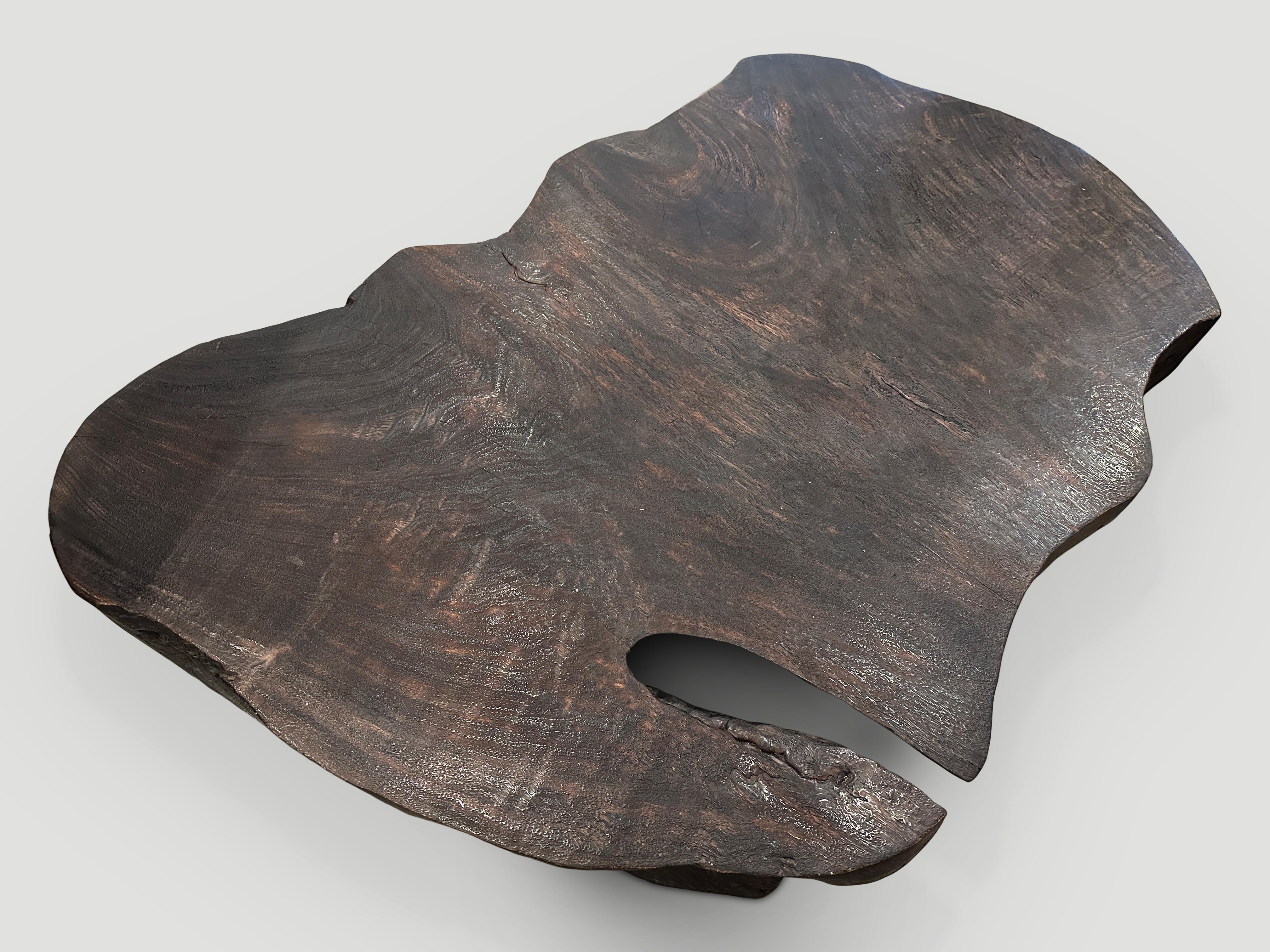 Andrianna Shamaris Charred Single Root Suar Wood Coffee Table In Excellent Condition In New York, NY