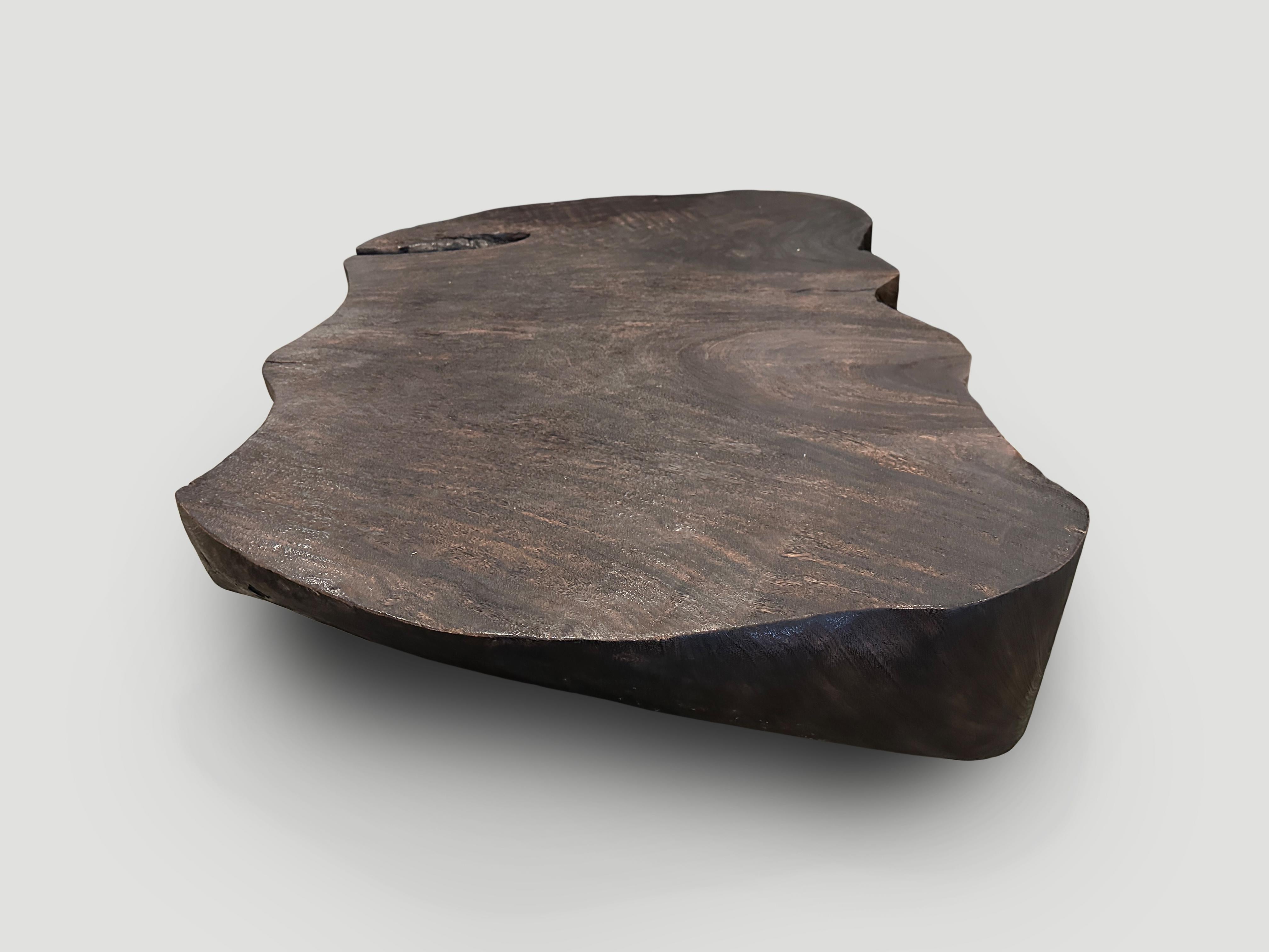 Contemporary Andrianna Shamaris Charred Single Root Suar Wood Coffee Table