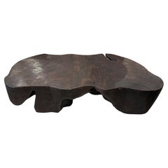 Andrianna Shamaris Charred Single Root Suar Wood Coffee Table