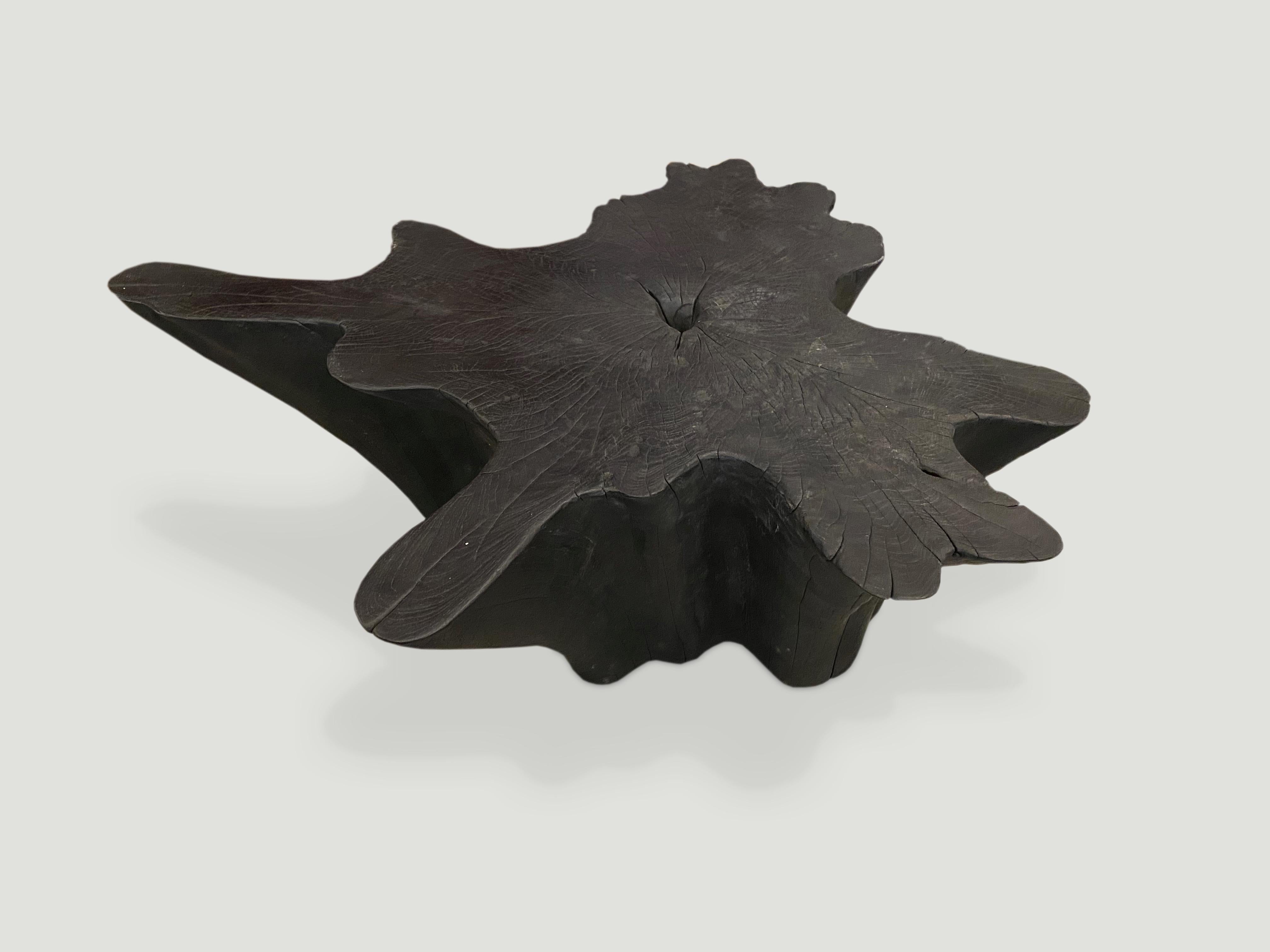 Table basse sculptée à la main à partir d'une seule racine de teck recyclé. Une légère graduation du bas vers le haut. Carbonisé, poncé et scellé, révélant le magnifique grain du bois. Teintures et finitions personnalisées disponibles. Veuillez vous