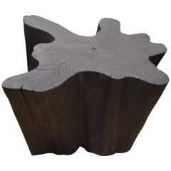 Andrianna Shamaris Charred Teak Wood Coffee Table