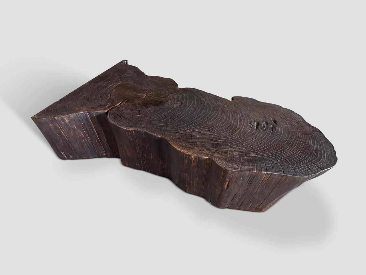 Organic Modern Andrianna Shamaris Charred Teak Wood Coffee Table Or Bench For Sale