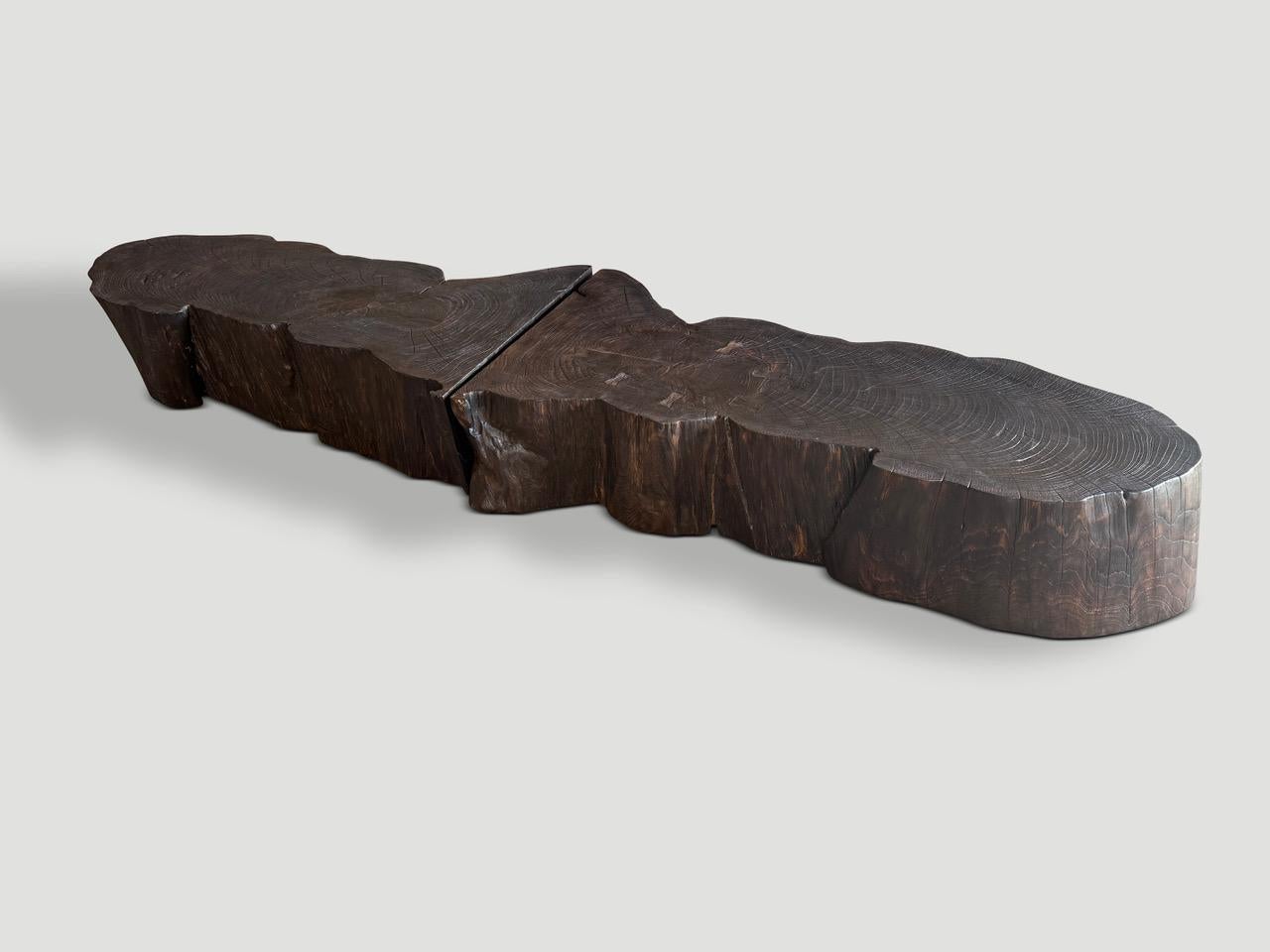 Andrianna Shamaris Charred Teak Wood Coffee Table Or Bench In Excellent Condition For Sale In New York, NY