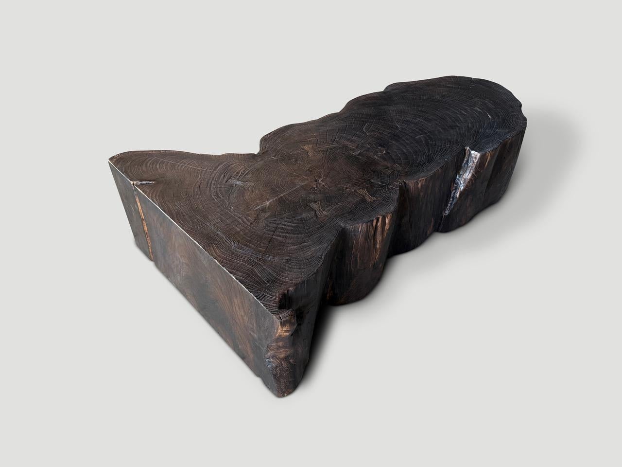 Contemporary Andrianna Shamaris Charred Teak Wood Coffee Table Or Bench For Sale