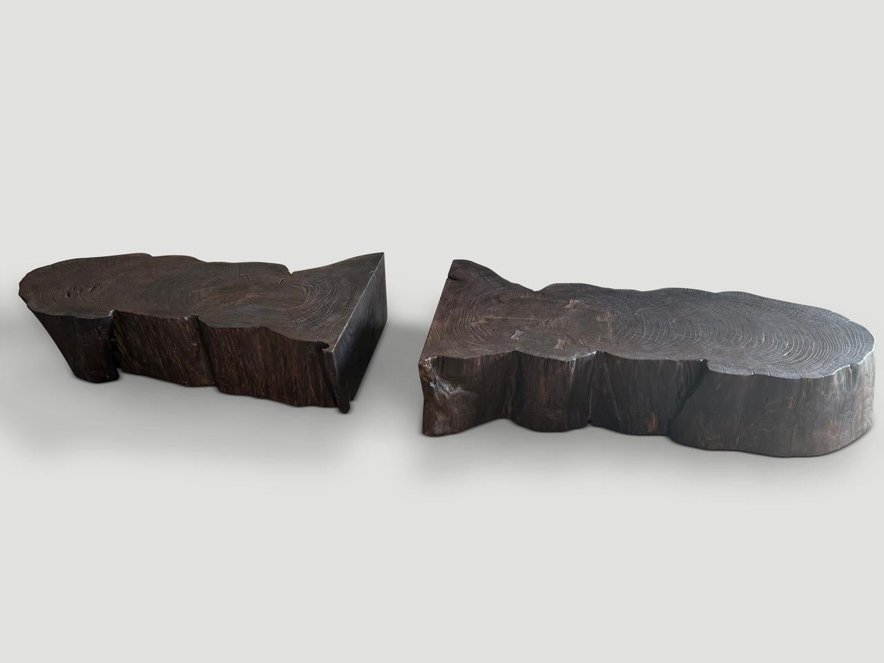 Andrianna Shamaris Charred Teak Wood Coffee Table Or Bench For Sale 1