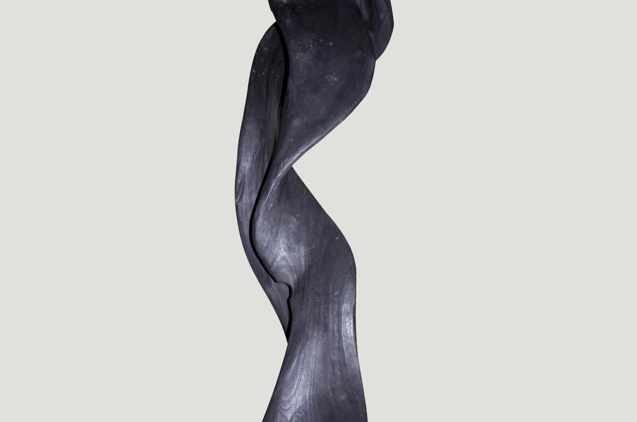Contemporary Andrianna Shamaris Charred Ficus Wood Ribbon Sculpture For Sale