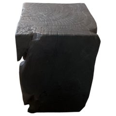 Andrianna Shamaris Charred Teak Wood Side Table