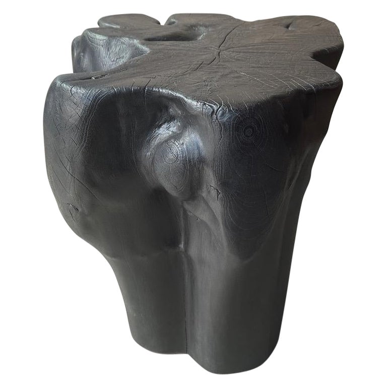 Andrianna Shamaris Charred Teak Wood Side Table, Organic Modern Design For Sale