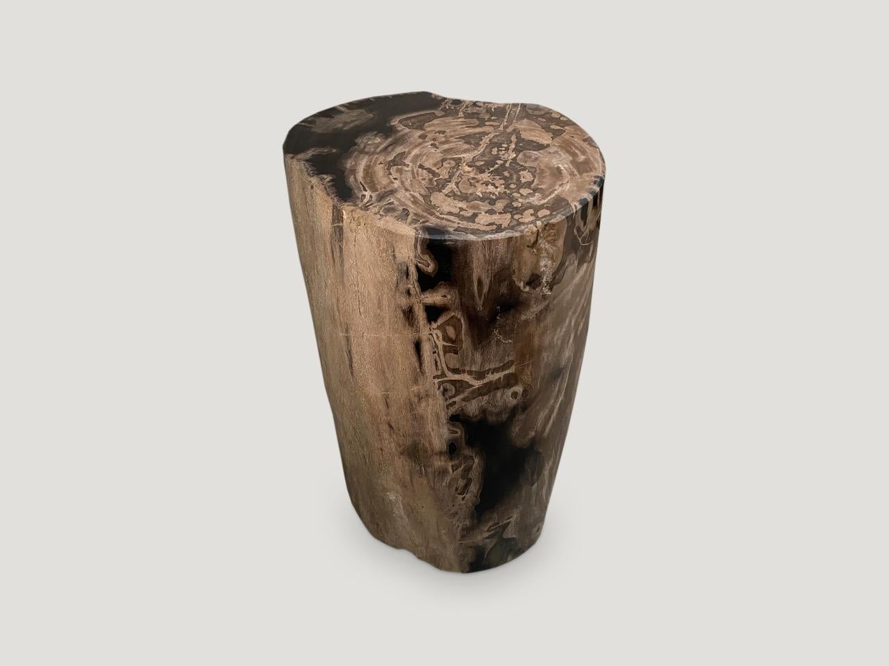 Beautiful earth tones on this high quality petrified wood side table. It’s fascinating how Mother Nature produces these stunning 40 million year old petrified teak logs with such contrasting colors with natural patterns throughout. Modern yet with