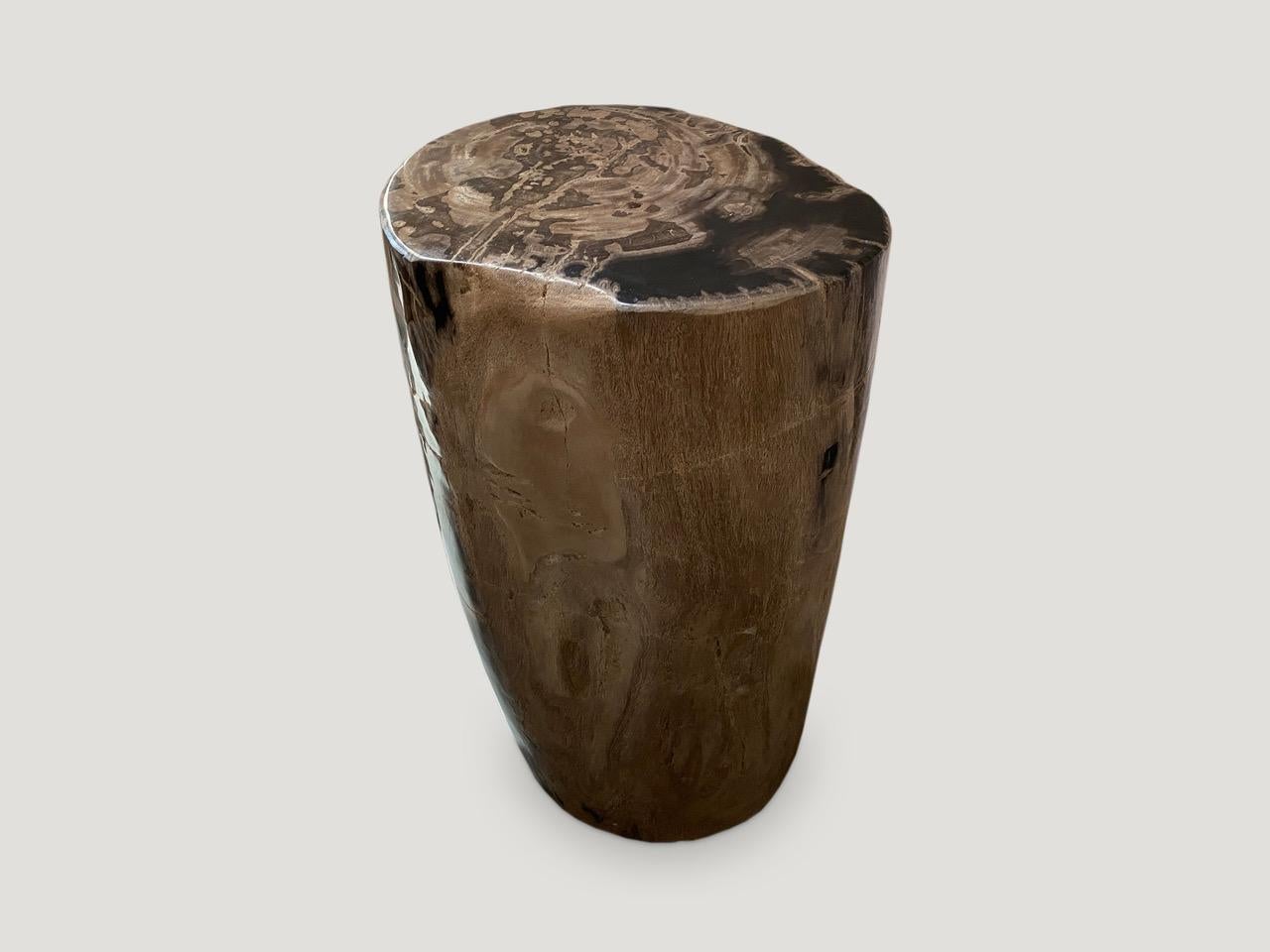 Organic Modern Andrianna Shamaris Classic Beige Toned High Quality Petrified Wood Side Table