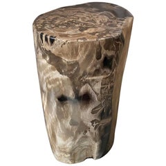 Andrianna Shamaris Classic Beige Toned High Quality Petrified Wood Side Table