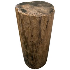 Andrianna Shamaris Classic Beige Toned High Quality Petrified Wood Side Table